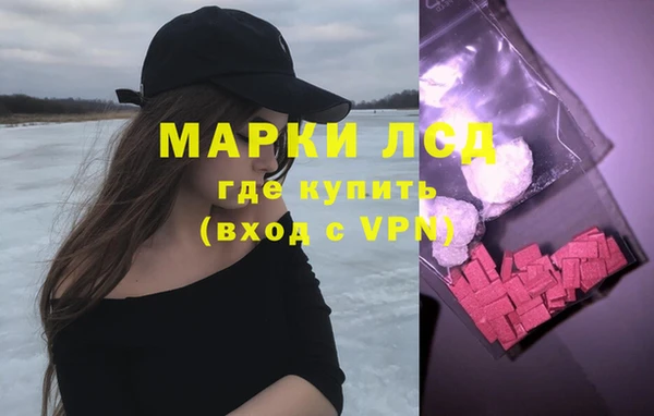 дмт Алзамай