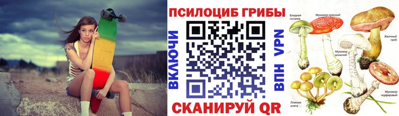 сайты даркнета формула  Богучар  мега онион  Галлюциногенные грибы Psilocybine cubensis  купить  